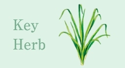 Key Herb