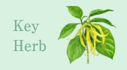 Key Herb