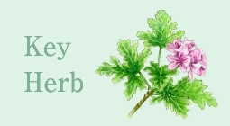 Key Herb