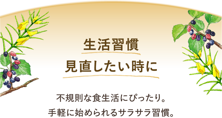 生活習慣 見直したい時に