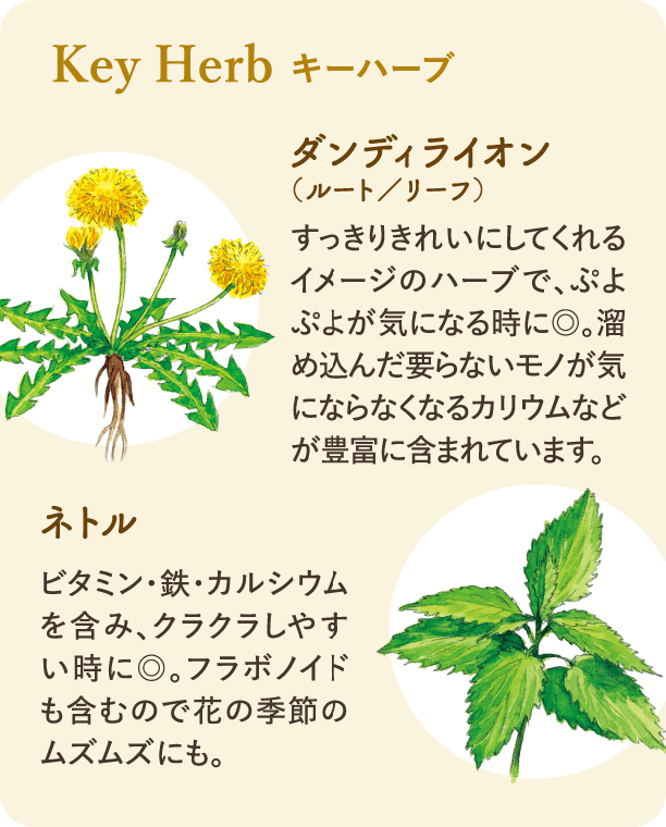 キーハーブ：ハーブティーの主要なハーブを2種類ご紹介しております。 一つ目は「マテ」です。「飲むサラダ」とも言われ、ビタミン・鉄分・カルシウムなどを含み活力をサポートします。脂っぽい食事を好む方、ダイエット中の方にもおすすめです。 二つ目は「レモングラス」です。レモンのような爽やかな風味と香りが特長で、食べ過ぎてしまった時にもおすすめです。