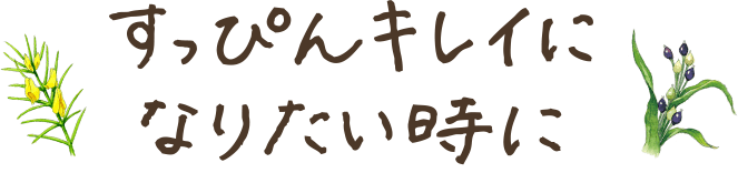 すっぴんキレイになりたい時に