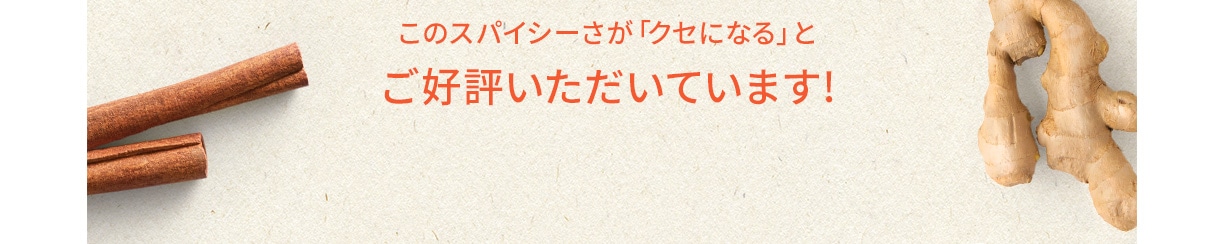 このスパイシーさが「クセになる」とご好評いただいています！