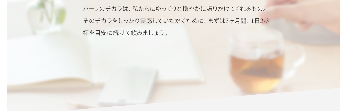 ハーブのチカラは、私たちにゆっくりと穏やかに語りかけてくれるもの。そのチカラをしっかり実感していただくために、まずは3ヶ月間、1日2-3杯を目安に続けて飲みましょう。