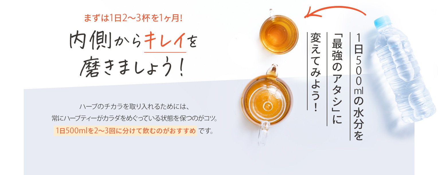 まずは1日2～3杯を1ヶ月! 内側からキレイを磨きましょう! 1日500mlの水分を「最強のアタシ」に変えてみよう！ ハーブのチカラを取り入れるためには、常にハーブティーがカラダをめぐっている状態を保つのがコツ。1日500mlを2～3回に分けて飲むのがおすすめです。