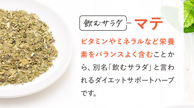 飲むサラダ マテ ビタミンやミネラルなど栄養素をバランスよく含むことから、別名「飲むサラダ」と言われるダイエットサポートハーブです。