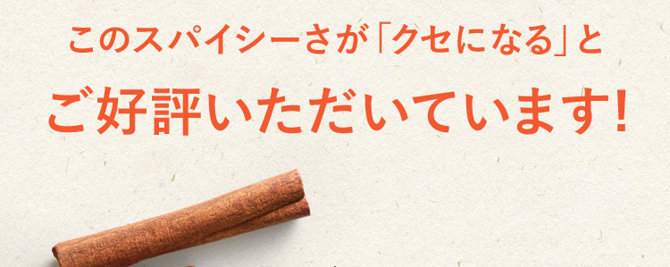 このスパイシーさが「クセになる」とご好評いただいています!