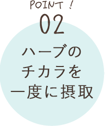 POINT02 ハーブのチカラを一度に摂取