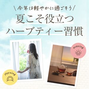 サマーキャンペーン