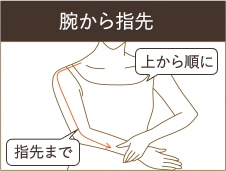 腕から指先