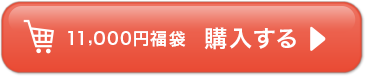 11,000円福袋 購入する