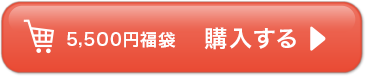 5,500円福袋 購入する