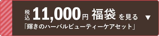 税込11,000円福袋 「輝きのハーバルビューティー
ケアセット」を見る