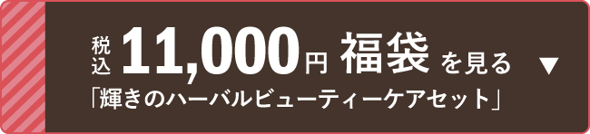 税込11,000円福袋 「輝きのハーバルビューティー
  ケアセット」を見る