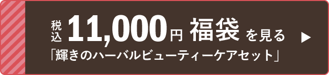 税込11,000円福袋 「輝きのハーバルビューティー
ケアセット」を見る