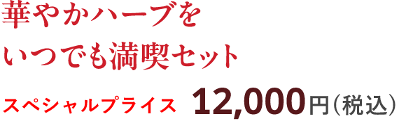 華やかハーブをいつでも満喫セット スペシャルプライス 12,000円（税込）
