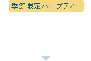 季節限定ハーブティー 幸せ気分でおやすみしたい時に夜風感じるレモンバーベナ茶