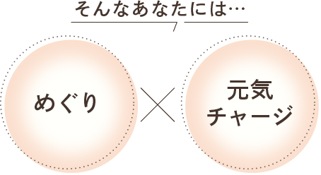 そんなあなたには、めぐり×元気チャージ