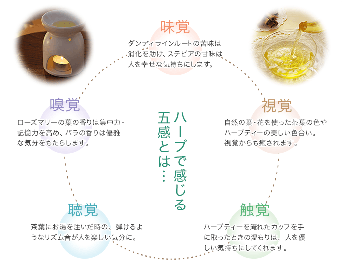 五感で癒しながらこころとカラダのバランスを本来の状態に