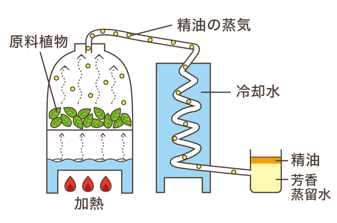 水蒸気蒸留法