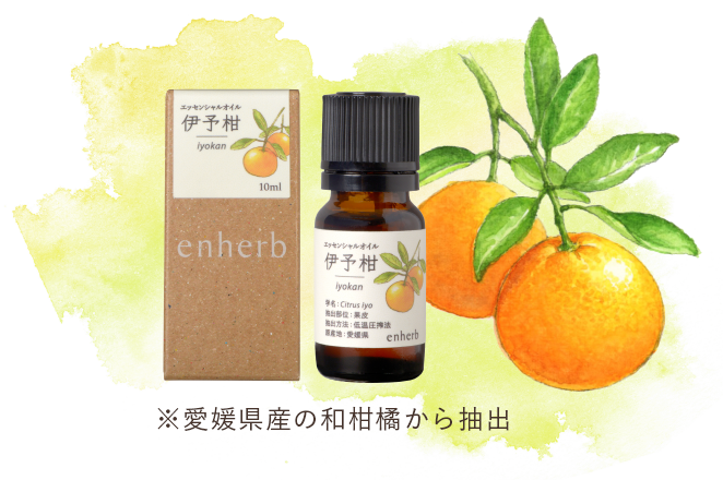 ハーブ専門店「enherb（エンハーブ）」公式WEBサイト 夏を快適に過ごす