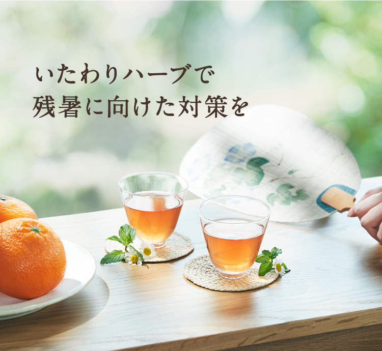 いたわりハーブで残暑に向けた対策を