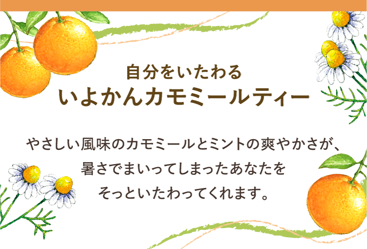 自分をいたわる いよかんカモミールティー やさしい風味のカモミールとミントの爽やかさが、暑さでまいってしまったあなたをそっといたわってくれます。