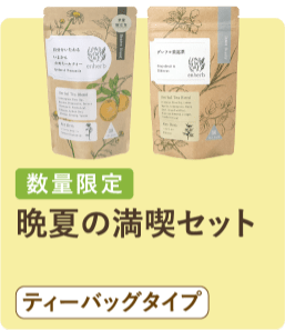 晩夏の満喫セット