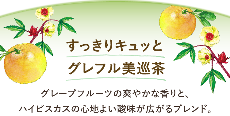 すっきりキュッと グレープフルーツの爽やかな香りと、ハイビスカスの心地よい酸味が広がるブレンド