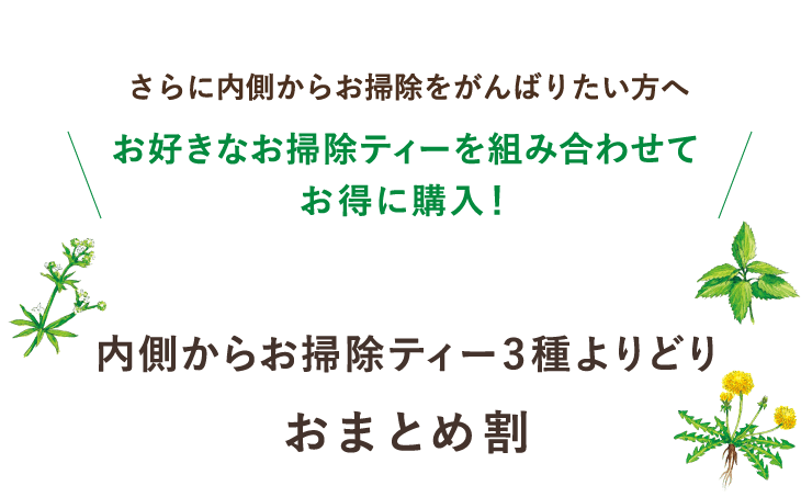 さらに内側からお掃除をがんばりたい方へ、お好きなお掃除ティーを組み合わせてお得に購入！内側からお掃除ティー３種よりどりおまとめ割