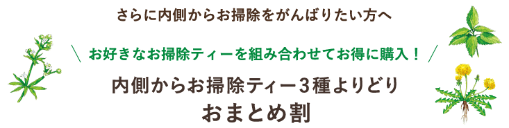 さらに内側からお掃除をがんばりたい方へ、お好きなお掃除ティーを組み合わせてお得に購入！内側からお掃除ティー３種よりどりおまとめ割