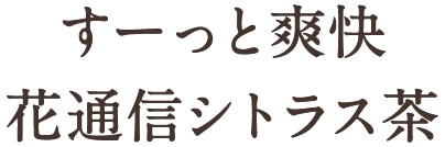 すーっと爽快花通信シトラス茶