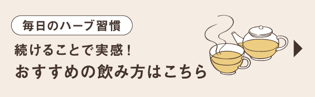 毎日のハーブ習慣 続けることで実感！ おすすめの飲み方はこちら