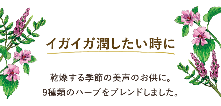 イガイガ潤したい時に 乾燥する季節の美声のお供に。9種類のハーブをブレンドしました。