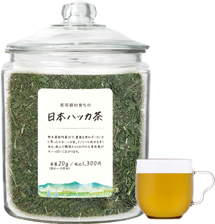 日本ハッカ茶