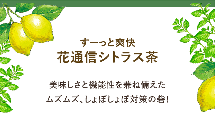 美味しさと機能性を兼ね備えたムズムズ、しょぼしょぼ対策の砦！