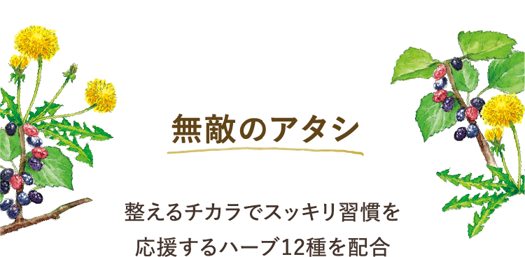 無敵のアタシ 整えるチカラでスッキリ習慣を応援するハーブ12種を配合