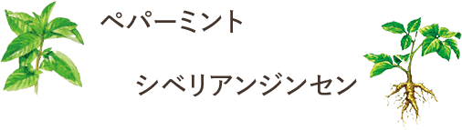 ペパーミント、シベリアンジンセン