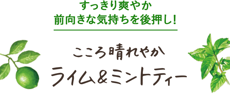 すっきり爽やか 前向きな気持を後押し！こころ晴れやかライム＆ミントティー