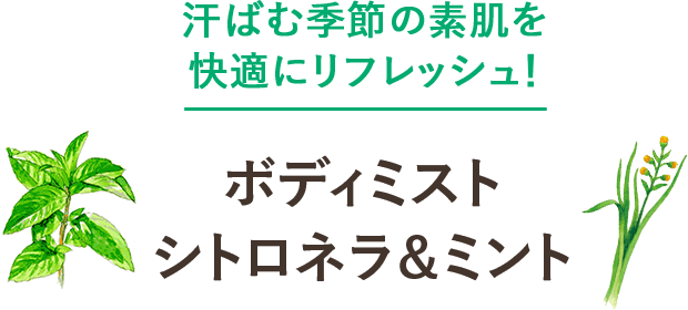 汗ばむ季節の素肌を快適にリフレッシュ！ボディミスト シトロネラ＆ミント