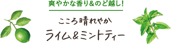 爽やかな香り＆のど越し！こころ晴れやかライム＆ミントティー