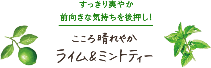 すっきり爽やか 前向きな気持を後押し！こころ晴れやかライム＆ミントティー