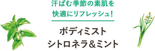 汗ばむ季節の素肌を快適にリフレッシュ！ボディミスト シトロネラ＆ミント