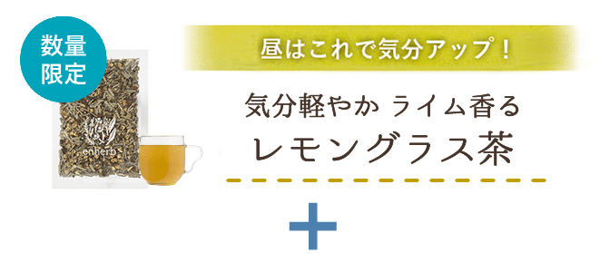 
                          昼夜はこれで気分アップ！気分軽やか ライム香るレモングラス茶