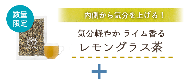 
                          内側から気分を上げる！気分軽やか ライム香るレモングラス茶
