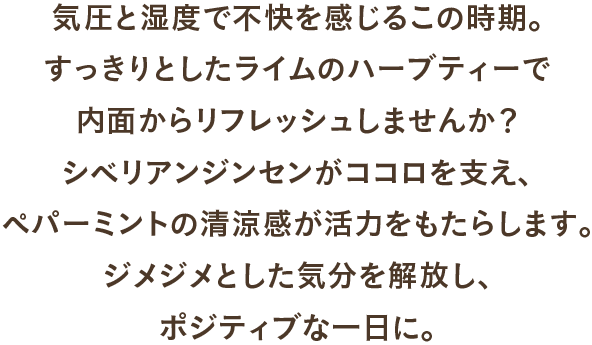 気圧と湿度で不快を感じるこの時期。すっきりとしたライムのハーブティーで内面からリフレッシュしませんか？シベリアンジンセンがココロを支え、ペパーミントの清涼感が活力をもたらします。ジメジメとした気分を解放し、ポジティブな一日に。