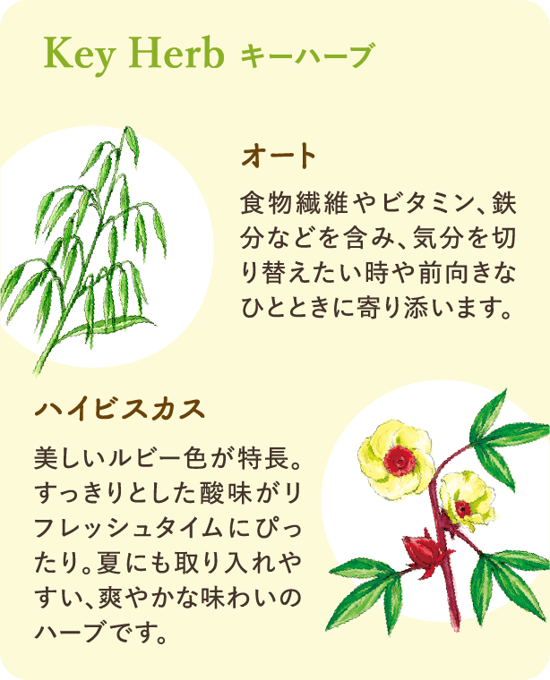 キーハーブ：【オート】食物繊維やビタミン、鉄分などを含み、気分を切り替えたい時や前向きなひとときに寄り添います。【ハイビスカス】美しいルビー色が特長。すっきりとした酸味がリフレッシュタイムにぴったり。夏にも取り入れやすい、爽やかな味わいのハーブです。