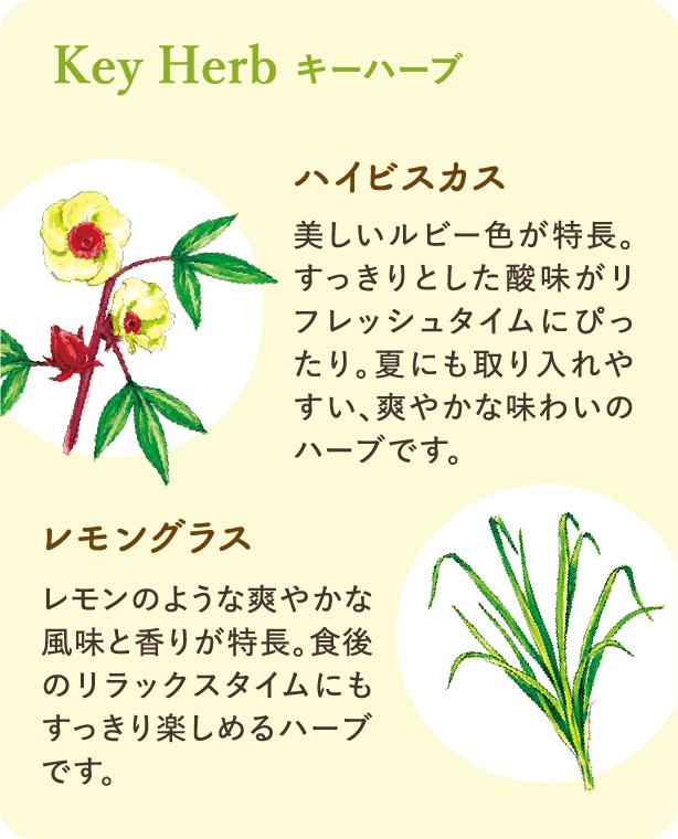 キーハーブ：【ハイビスカス】美しいルビー色が特長。クエン酸やミネラルを含んでいるため、運動時の水分補給に最適で、暑い夏も元気に過ごせます。【レモングラス】レモンのような爽やかな風味と香りが特長。食べ過ぎてしまった時にもおすすめです。