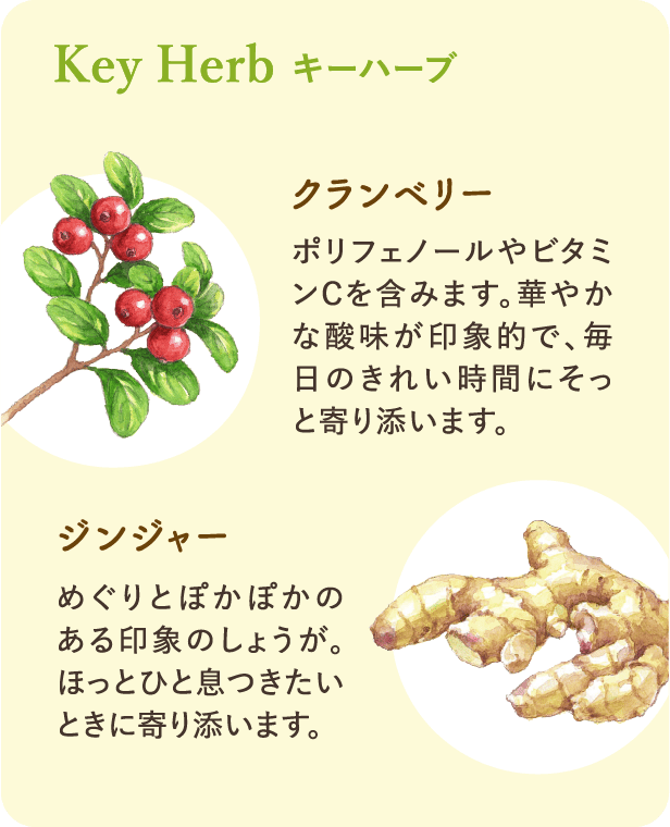 キーハーブ：【クランベリー】ポリフェノールやビタミンCを含みます。華やかな酸味が印象的で、毎日のきれい時間にそっと寄り添います。【ジンジャー】めぐりとぽかぽかのある印象のしょうが。ほっとひと息つきたいときに寄り添います。