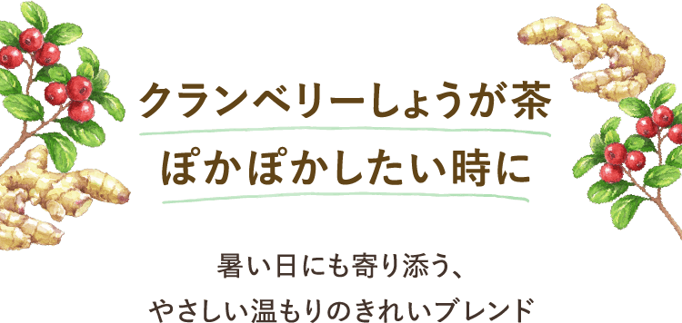 クランベリーしょうが茶 ぼかぽかしたい時に暑い日にも寄り添う、やさしい温もりのきれいブレンド